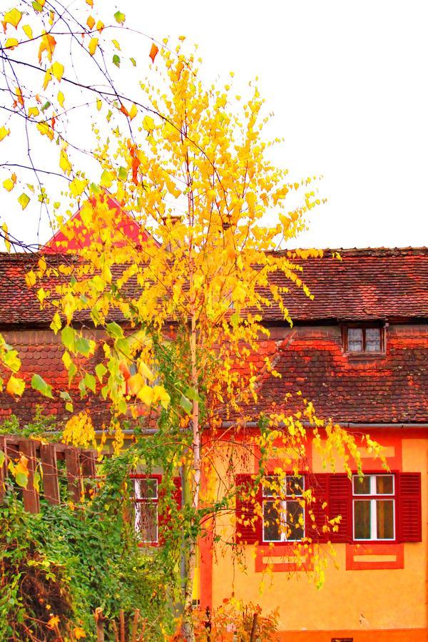 Citadel Park Apartment Sighişoara Exterior foto